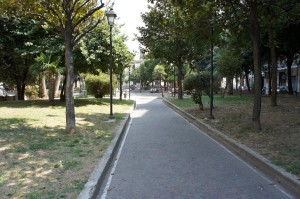 SONY DSC