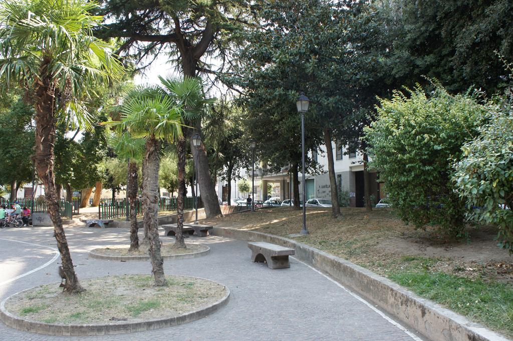 SONY DSC