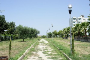 SONY DSC
