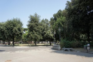 SONY DSC