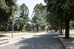 SONY DSC
