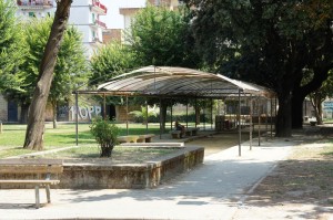 SONY DSC