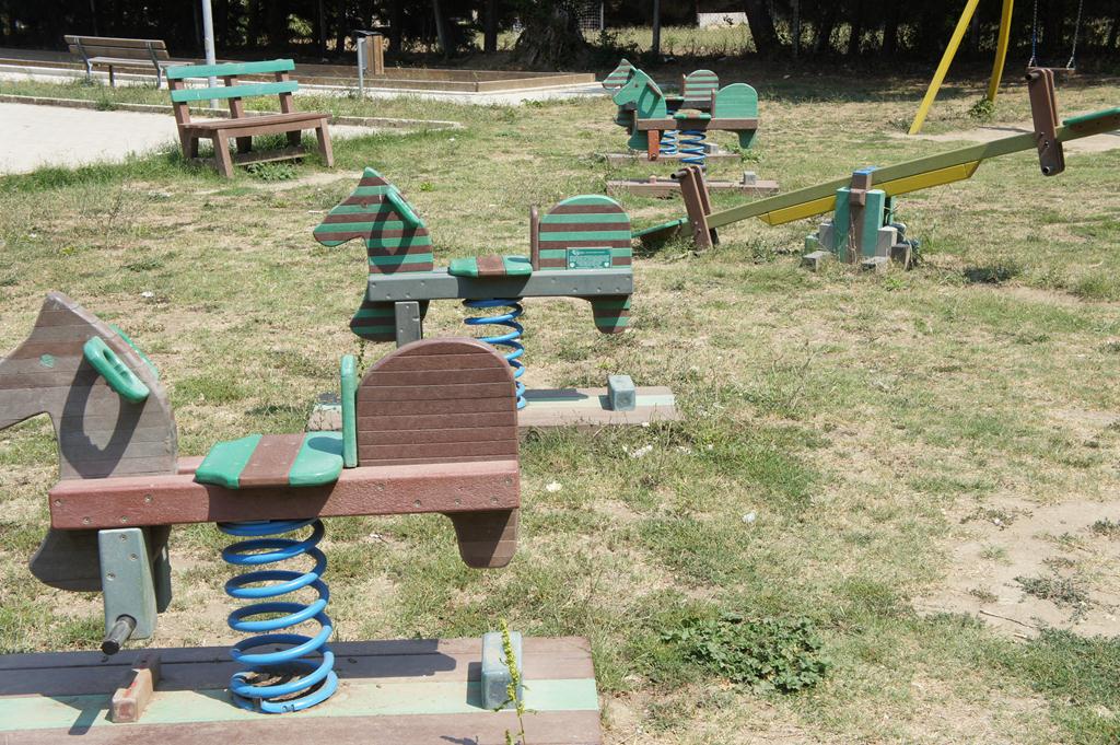 SONY DSC