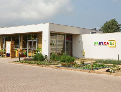 Fresca24