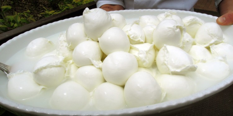 mozzarella-6