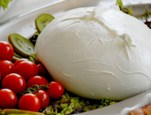 La Mozzarella di Bufala aversana